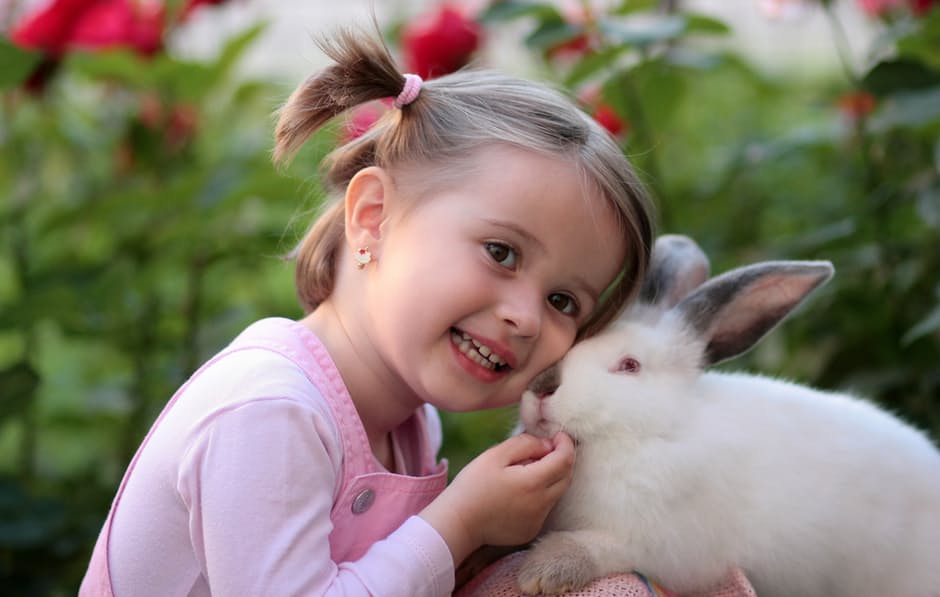 coniglietto bambini fattoria